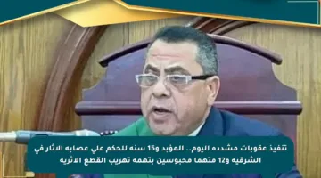 تنفيذ عقوبات مشددة اليوم.. المؤبد و15 سنة للحكم على عصابة الآثار في الشرقية و12 متهما محبوسين بتهمة تهريب القطع الأثرية
